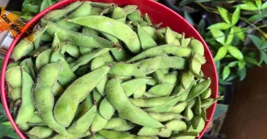 3 Jenis Kacang Kaya Manfaat yang Cocok Jadi Camilan Penunda Lapar