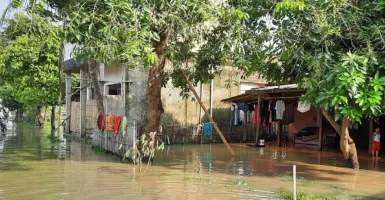 Dampak Korban Banjir Luapan Sungai Cisadane Bertambah