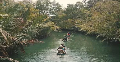 Mencari Badak Bercula Satu dari Atas Kano di Pulau Handeuleum