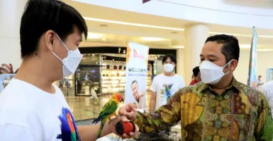 Pecinta Sugar Glider Beradu di Mall Alam Sutra, Simak Keseruannya