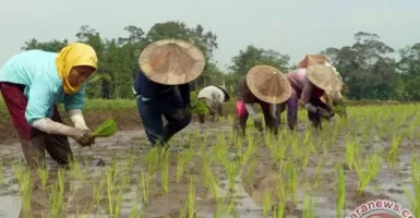 Petani Lebak Dukung Sandiaga Uno jadi Capres, Ini Alasannya