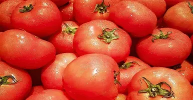 Manfaat Luar Biasa Tomat untuk Cegah Kanker Kulit, Simak