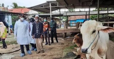 MUI Kabupaten Tangerang Imbau Warga Hati-hati Pilih Hewan Ternak