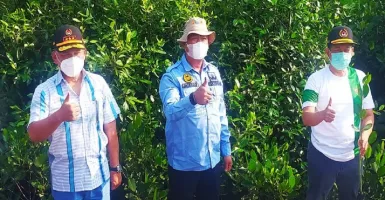 Pemkab Kembali Tanam Mangrove di Ketapang Urban Aquaculture