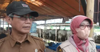 DKPPP Kota Serang Pastikan Hewan Ternak untuk Idul Adha Bebas PMK