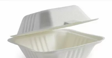 Bungkus Styrofoam Aman Bagi Kesehatan? Simak Faktanya