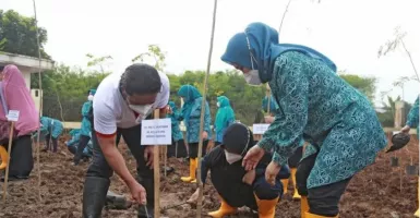 PKK Tanam Pohon Kelor, Pj Gubernur Banten: Sangat Baik
