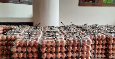 Duh, Pakan Ayam Naik, Harga Telur di Pasar Menggila