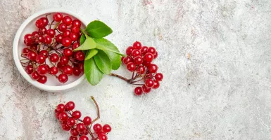 5 Manfaat Jus Cranberry untuk Kesehatan Tubuh, Wajib Coba