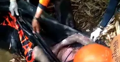 Jasad Korban Hanyut di Sungai Cimanceuri Berhasil Ditemukan