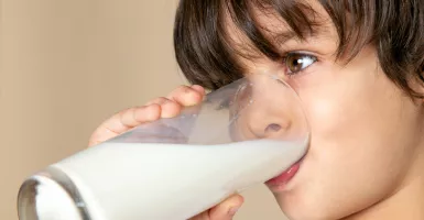 Apakah Sarapan Hanya Minum Susu Bagus untuk Kesehatan?