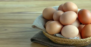 Hindari Bakteri Salmonella pada Telur dengan Cara Begini