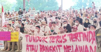 Ketua Honorer Beber Penyebab 23 Formasi PPPK Teknis di Banten Bisa Kosong