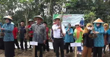 Pemprov Banten Luncurkan Gerakan Tanam Sejuta Pohon Kelor
