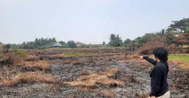 Kebakaran Lahan Gambut di Tangerang Berhasil Dipadamkan