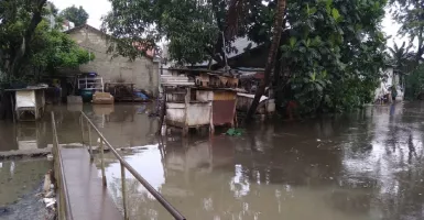 Waduh, Banjir Rendam Rumah Warga di Bantaran Sungai Paninggilan