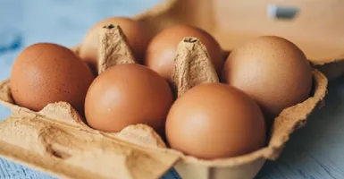 Di Balik Khasiat Telur Ternyata Ada Bahayanya