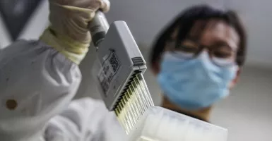 China Uji Klinis Vaksin Covid-19 kepada Serangga 
