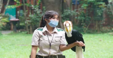 Pertunjukan Burung Endemik di TSI Bisa Jadi Sarana Edukasi Anak