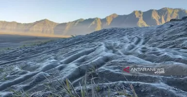 Fenomena Embun Upas di Gunung Bromo, Mirip Film Frozen 2