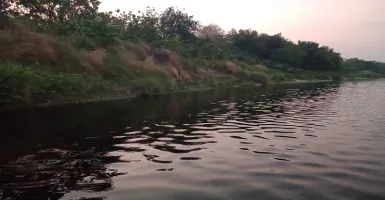 Duh, Sungai Bengawan Solo Tercemar Limbah Berbahaya