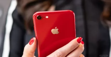 Apple Akan Luncurkan HP Murah, Spesifikasi Sama iPhone 11 Pro