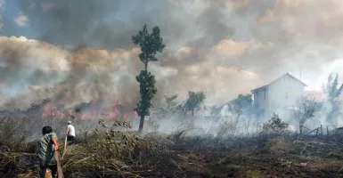 Miris, 99 Persen Kebakaran Hutan di Indonesia Ternyata Ulah Kita