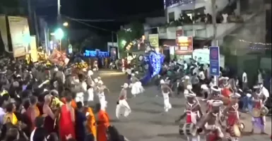 Gajah Ngamuk di Festival Budaya, 18 Orang Luka-luka