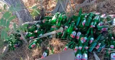 Miris, Pantai Pink Komodo Dipenuhi Sampah Botol Bir