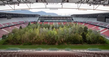 Unik, Lapangan Stadion di Austria ini Tiba-tiba Jadi Hutan