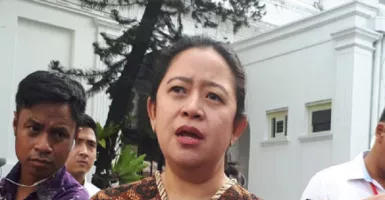 Darmin Nasution Jadi Plt Menko PMK, Gantikan Puan Maharani 