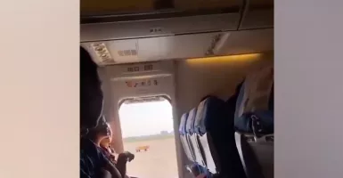 Sesak Napas, Nenek di China Buka Pintu Pesawat yang Akan Terbang