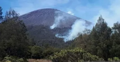 198 Hektare Luas Hutan yang Terbakar di Gunung Semeru