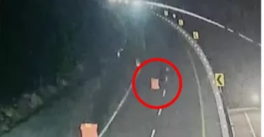 Viral Pembatas Tol Pandaan Jalan Sendiri, Netizen: Angin Sayang!