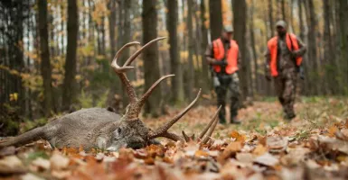 Remaja ini Tewas Ditembak Pemburu yang Mengira Dia Adalah Rusa