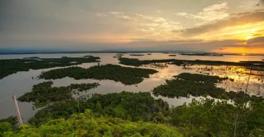 Menjelajahi Danau Sentarum Sambil Makan Madu, Hmmm Nikmat!