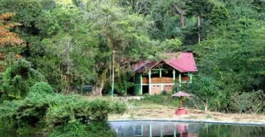 Asyiknya Berendam Air Panas di Tengah Hutan di Lombongo Gorontalo