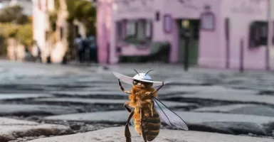 Tak Cuma Manusia, Influencer Lebah Ini Cari Dana Buat Spesiesnya