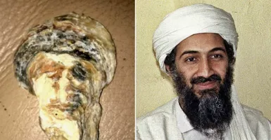 Kerang Mirip Osama Bin Laden Ditemukan di Pantai Inggris