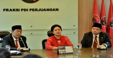 Kekayaan Ketua DPR Puan Maharani Bikin Melongo