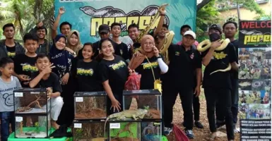 Yuk, Kenalan dengan Komunitas Pencinta Reptil di Depok