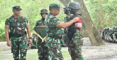 Luar Biasa, Kemampuan TNI Hancurkan Musuh dalam Sekejap