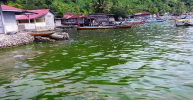 Fenomena Air Laut Berwarna Hijau di Padang, Ini Kata Pengamat