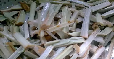 Unik, Bambu Rotan Jadi Makanan di Lampung