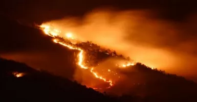 Hutan Gunung Lawu Terbakar, Jalur Pendakian Ditutup