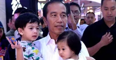 Selain La Lembah Manah, Ini Arti Nama 2 Cucu Jokowi Lainnya