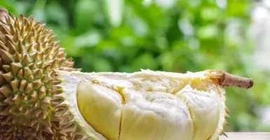 Kurangi Aroma dan Mual setelah Makan Durian dengan 4 Hal ini