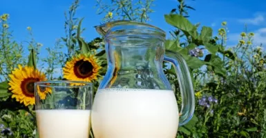 Susu vs Yoghurt Sama-sama Bikin Sehat, Tapi Kamu Pilih Mana?