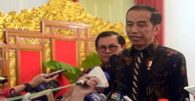 Ahok Bakal Pimpin BUMN, Jokowi: Masih Proses di Kementerian