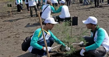 Hari Pohon Sedunia Tiap 21 November, Begini Sejarahnya!